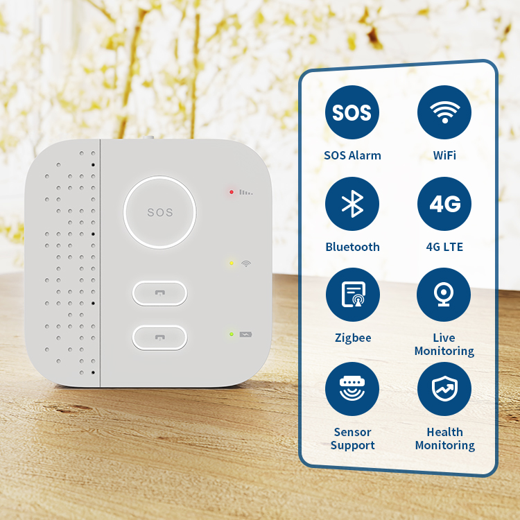 Sistem Pemantauan Keamanan Rum - Home Security For Seniors ulasan dan harga